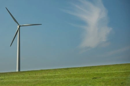 Klik om afbeelding te vergroten